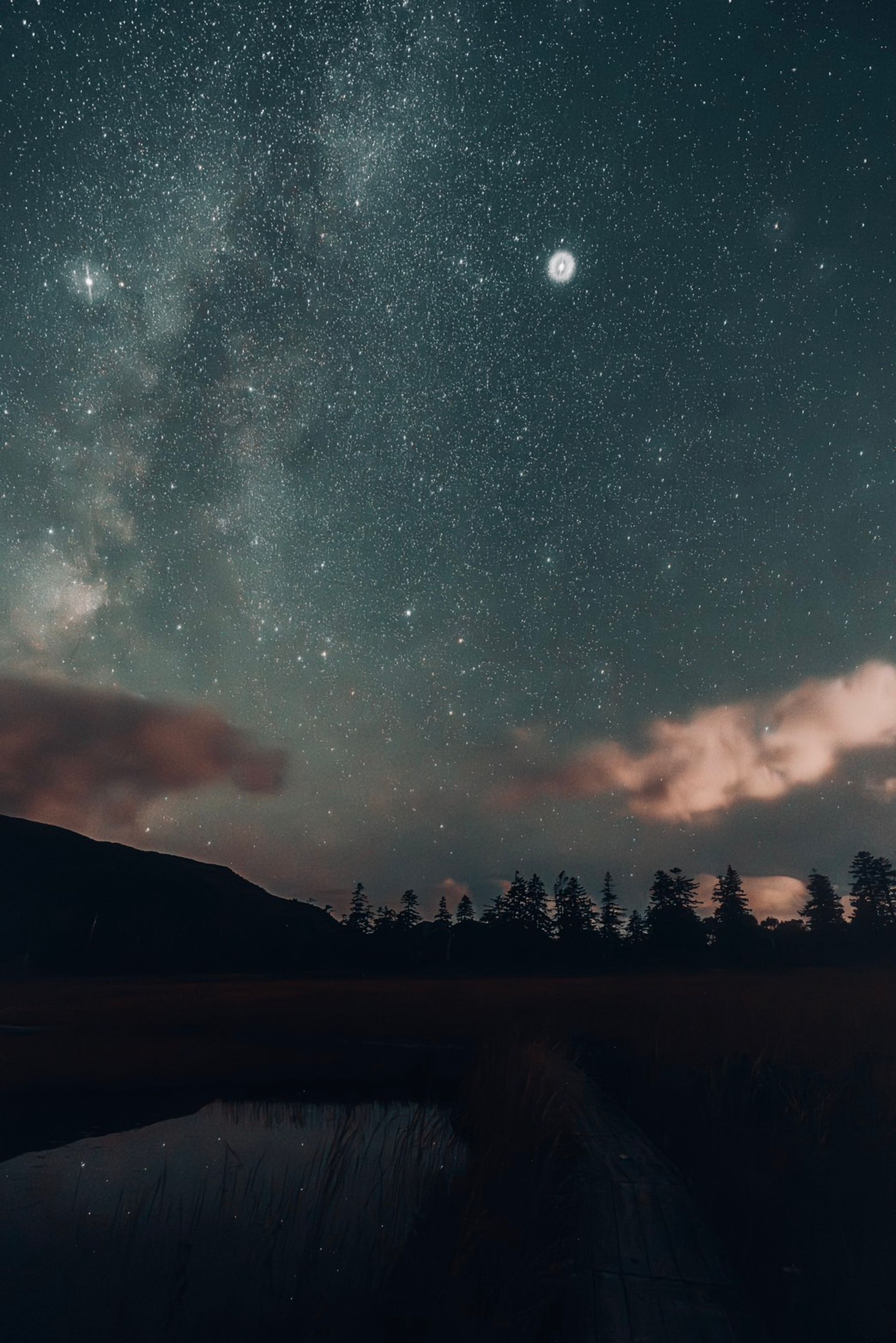 Marsh at Midnight