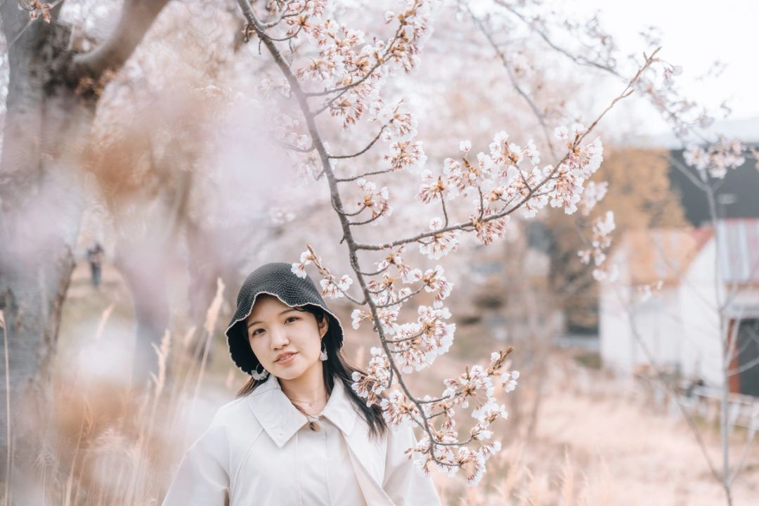Under the Blossoms