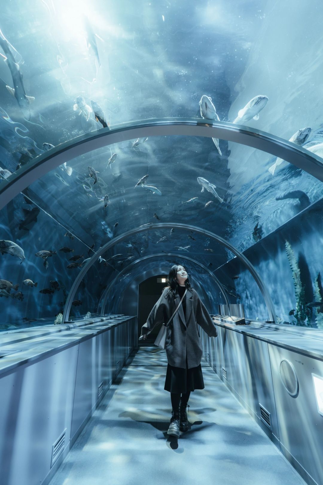 Through the Blue