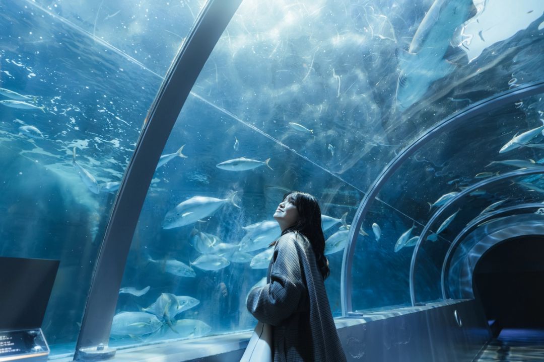 Blue Tunnel