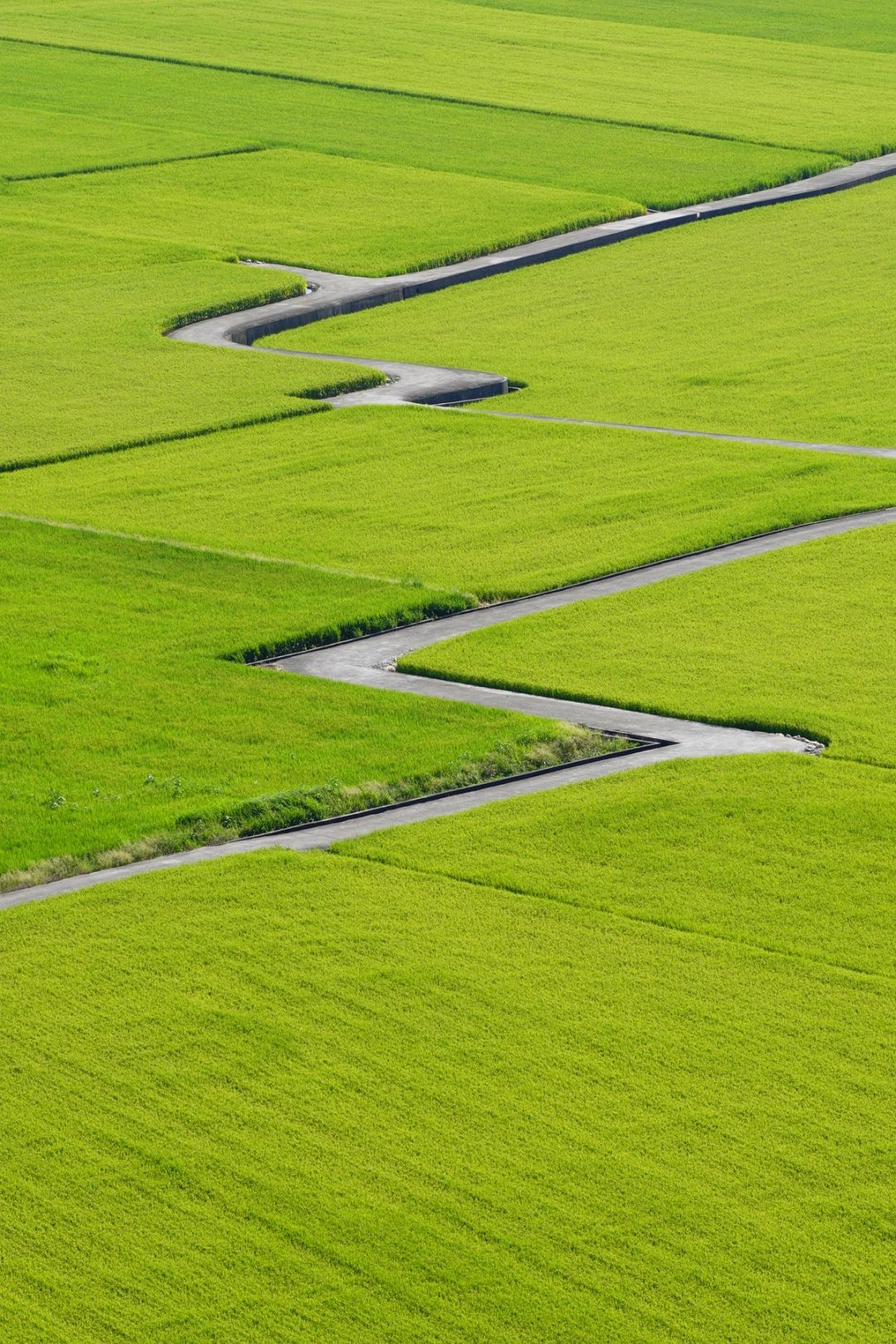 Emerald Switchback