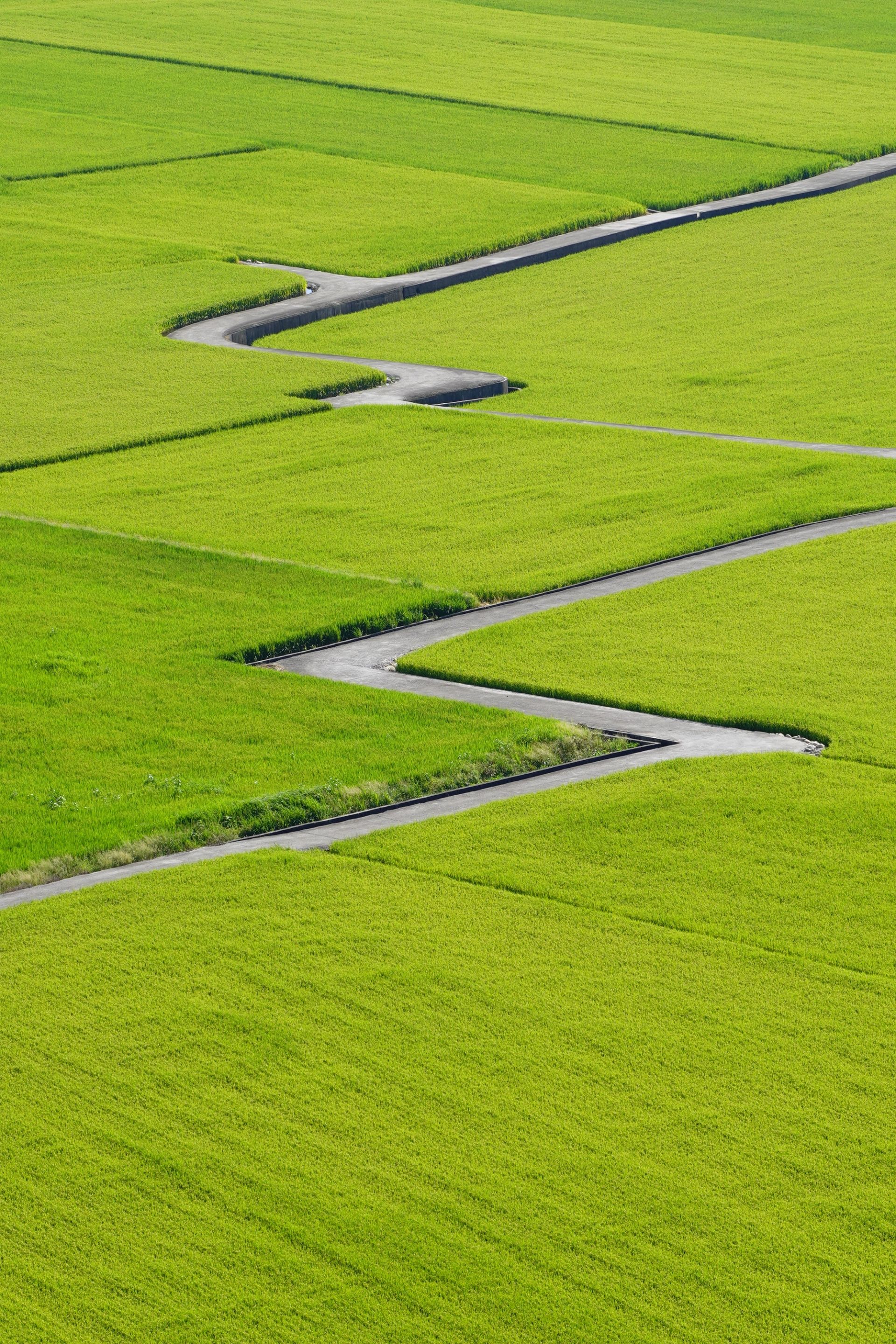 Emerald Switchback