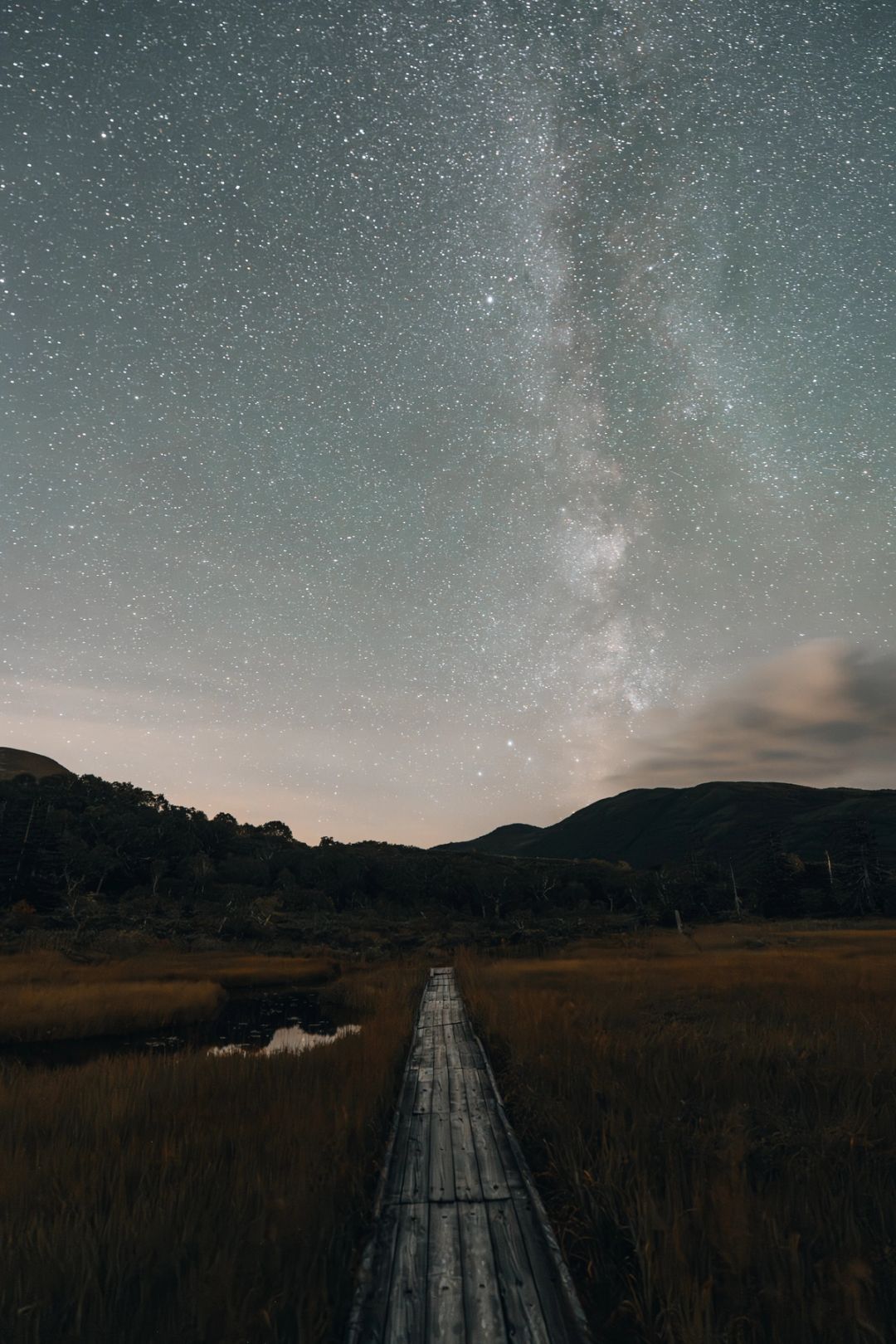 Boardwalk to the Stars