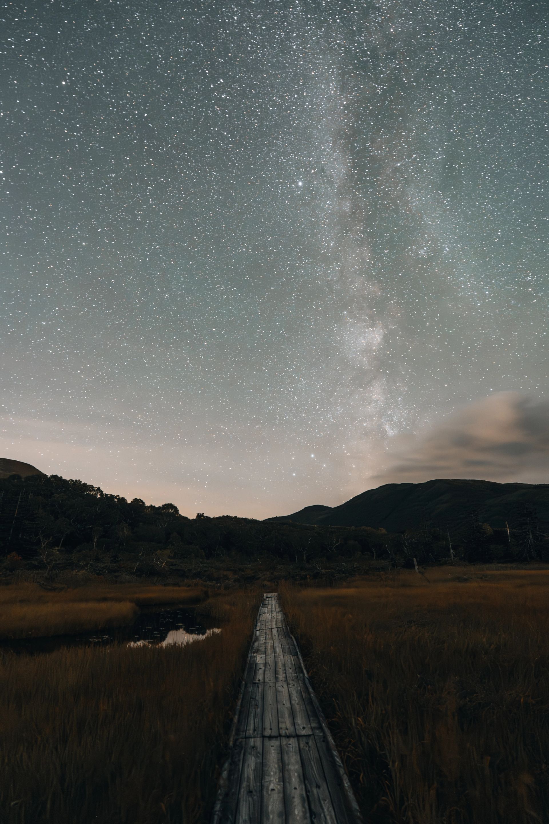 Boardwalk to the Stars