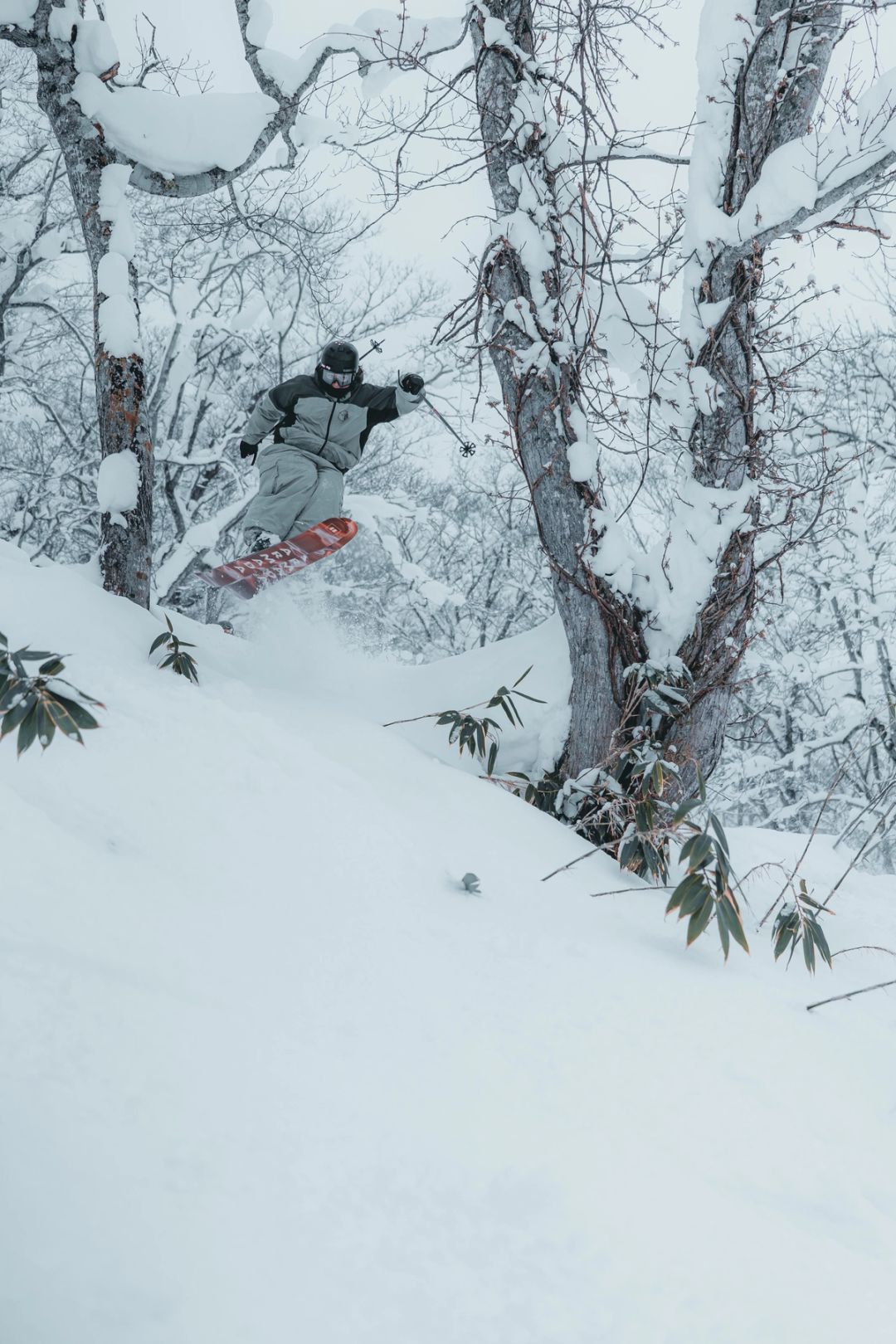 Tree Line Jump