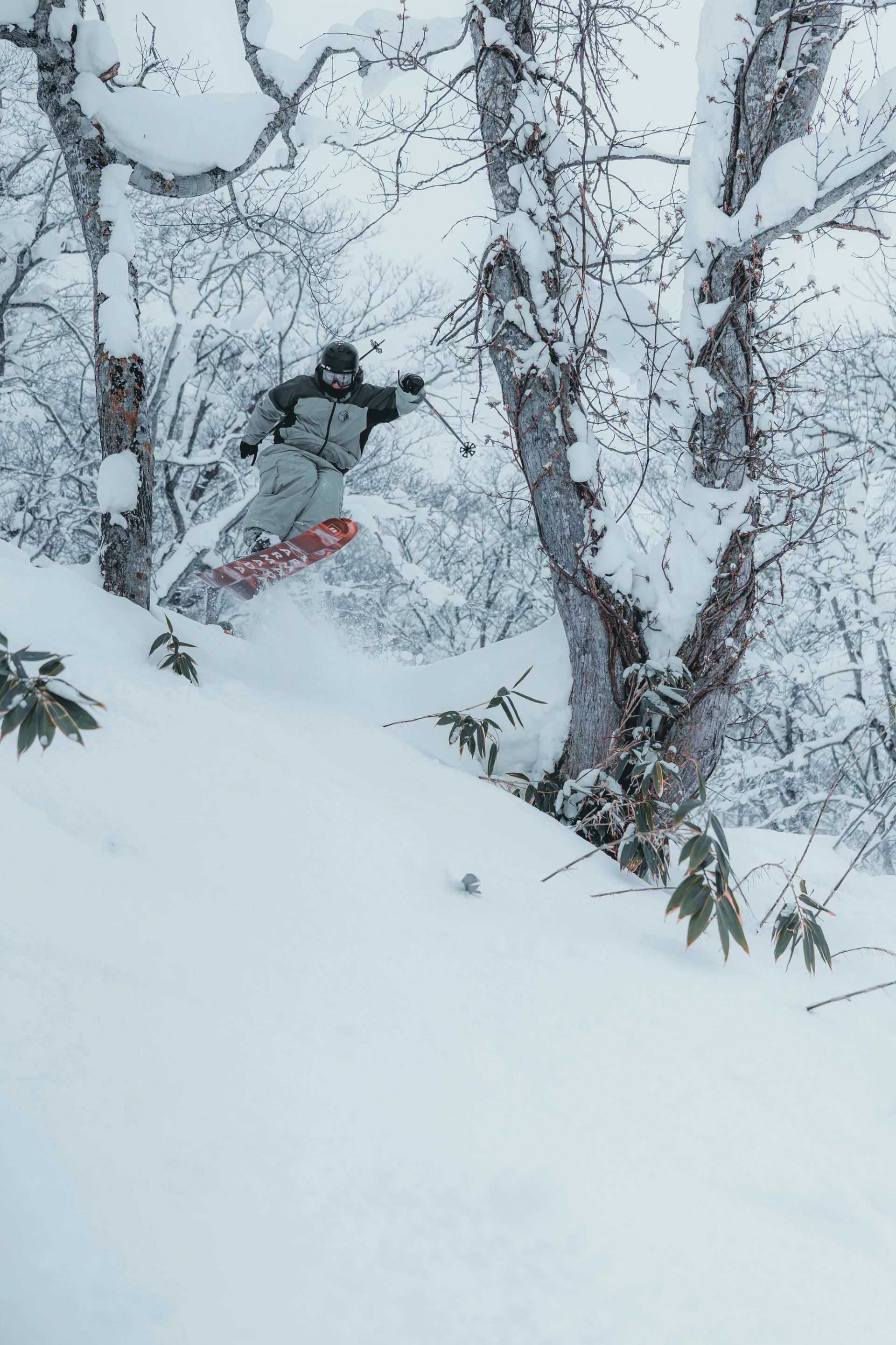 Tree Line Jump