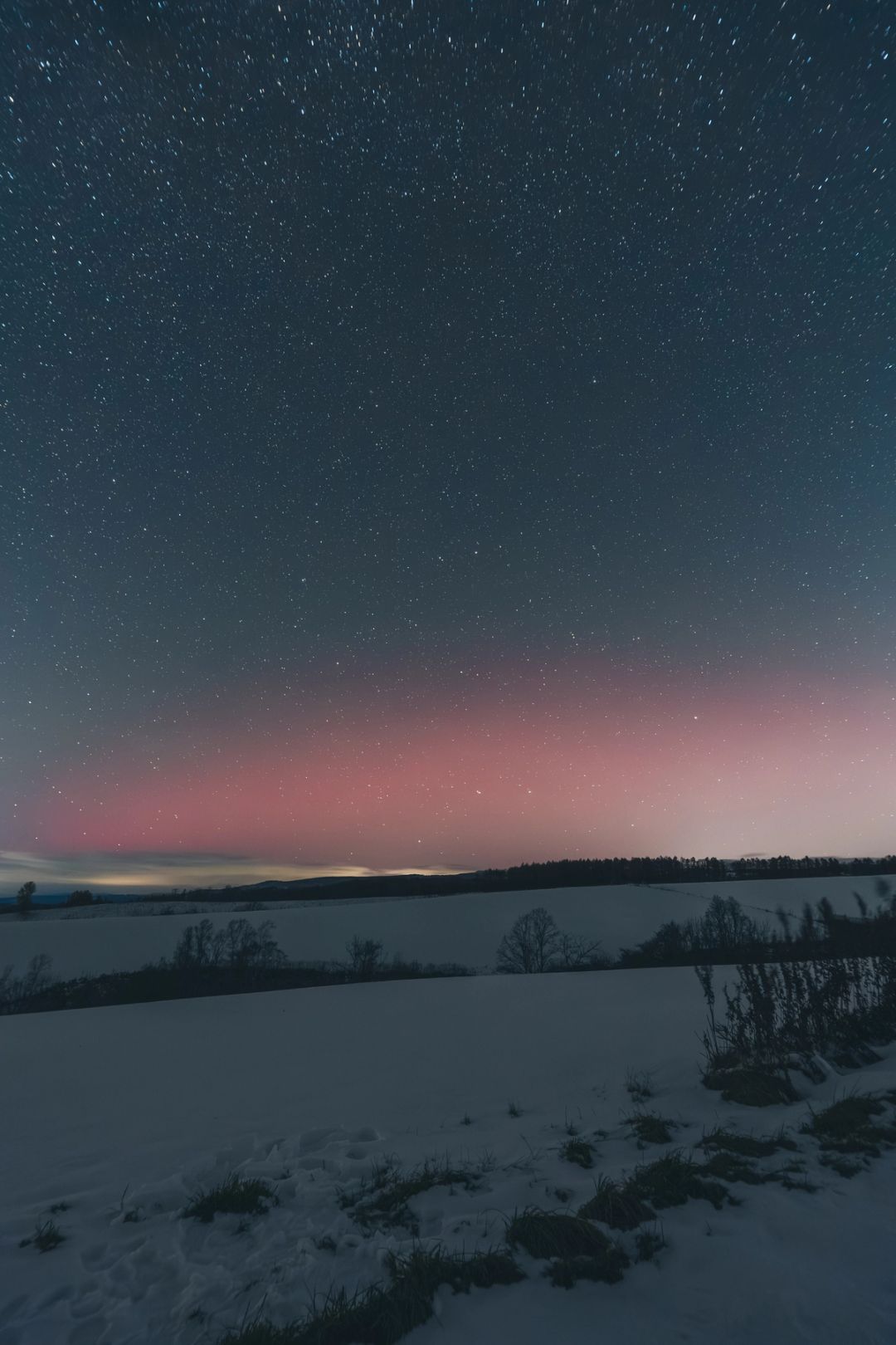 Winter Aurora