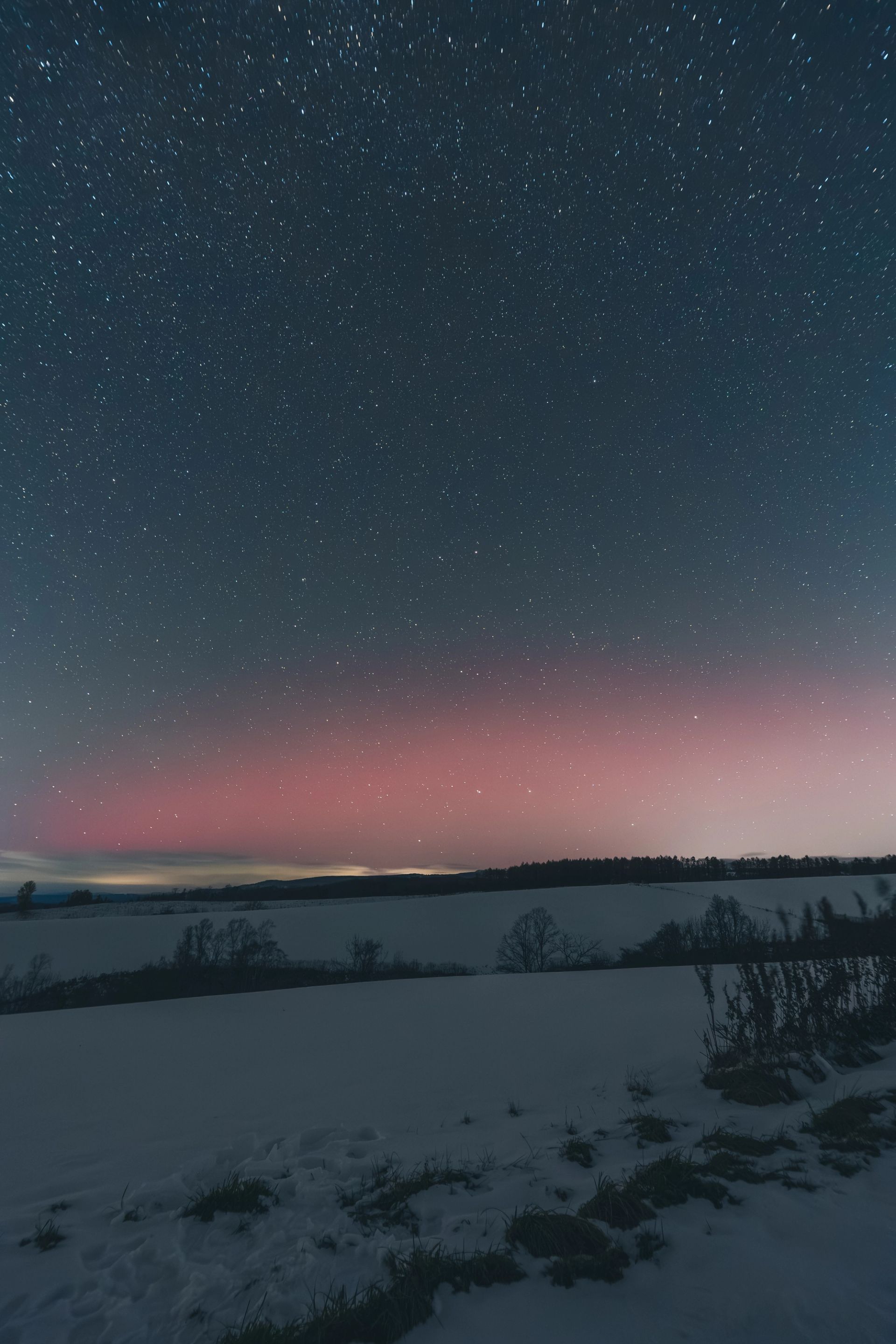 Winter Aurora