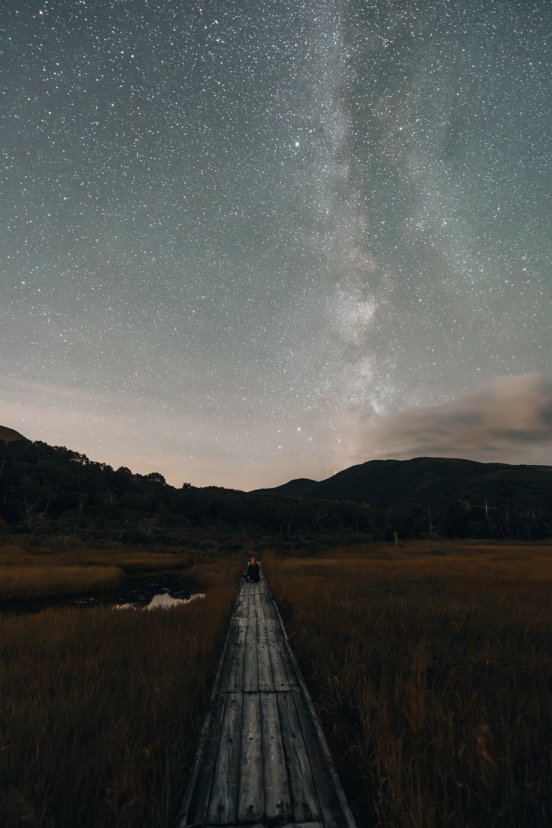 Marsh Under the Milky Way