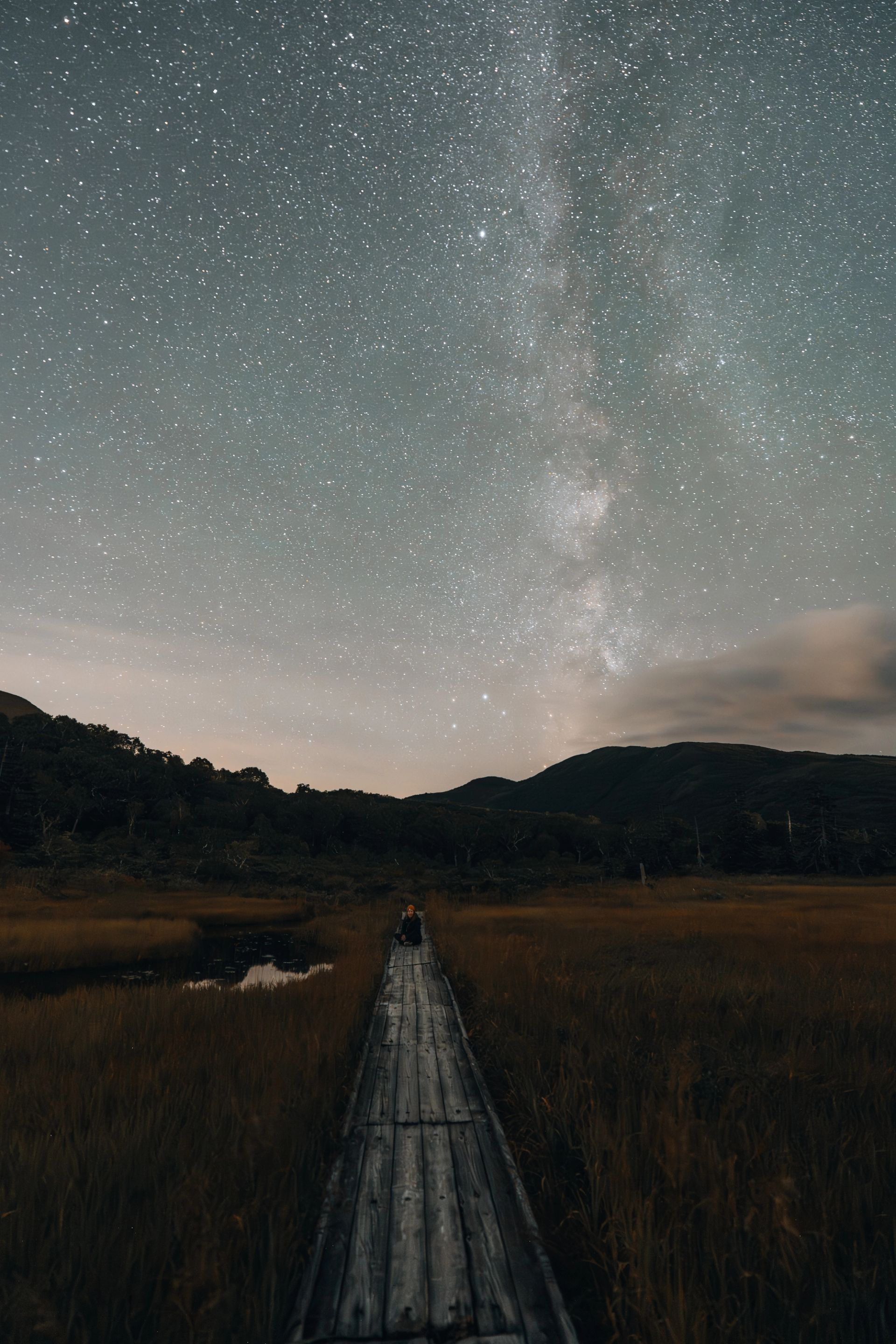 Marsh Under the Milky Way