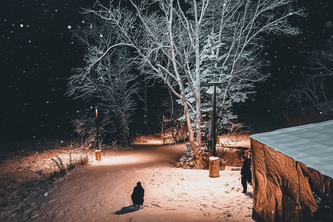 Snowlit Path