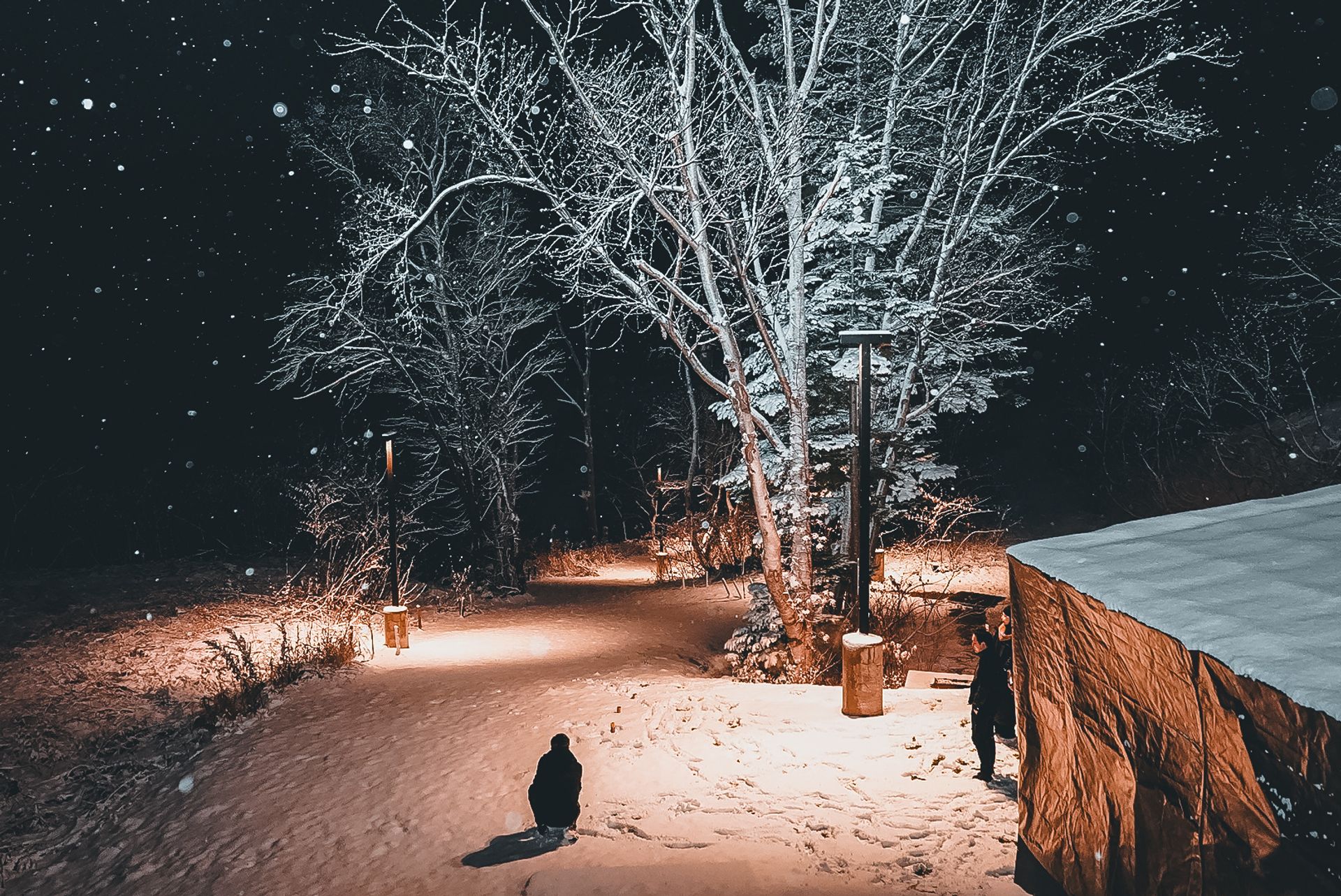 Snowlit Path