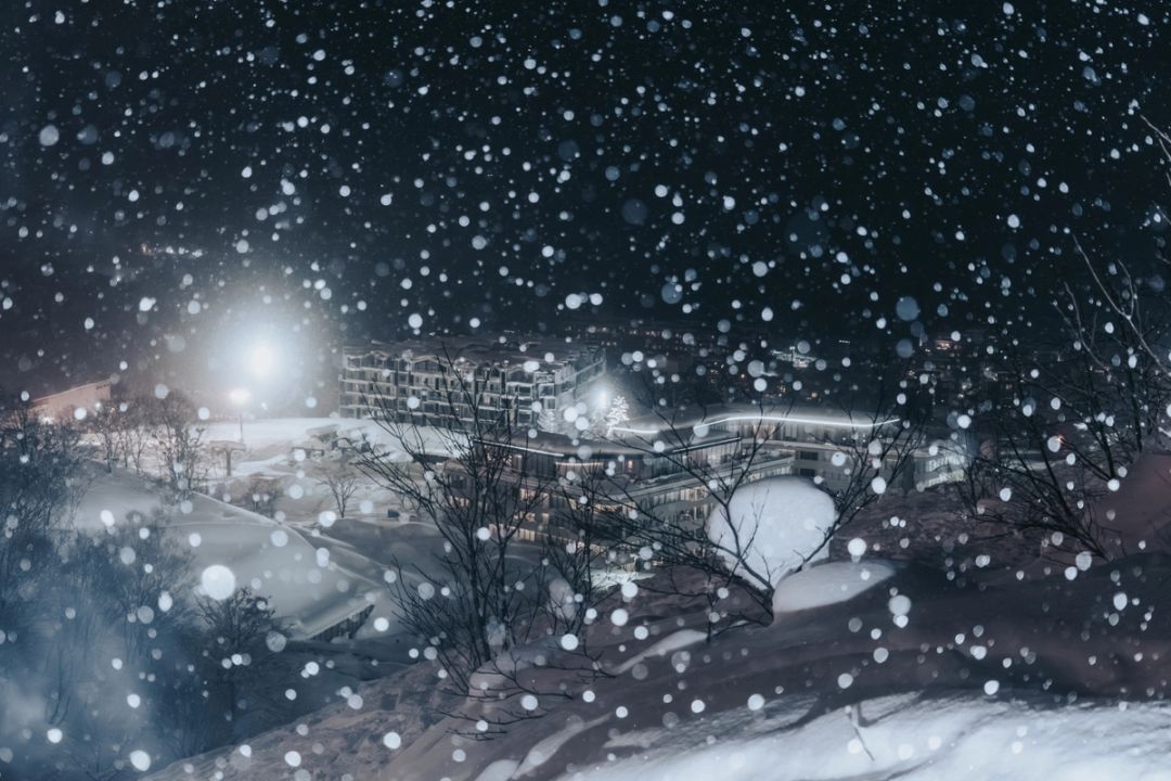 Falling Snow