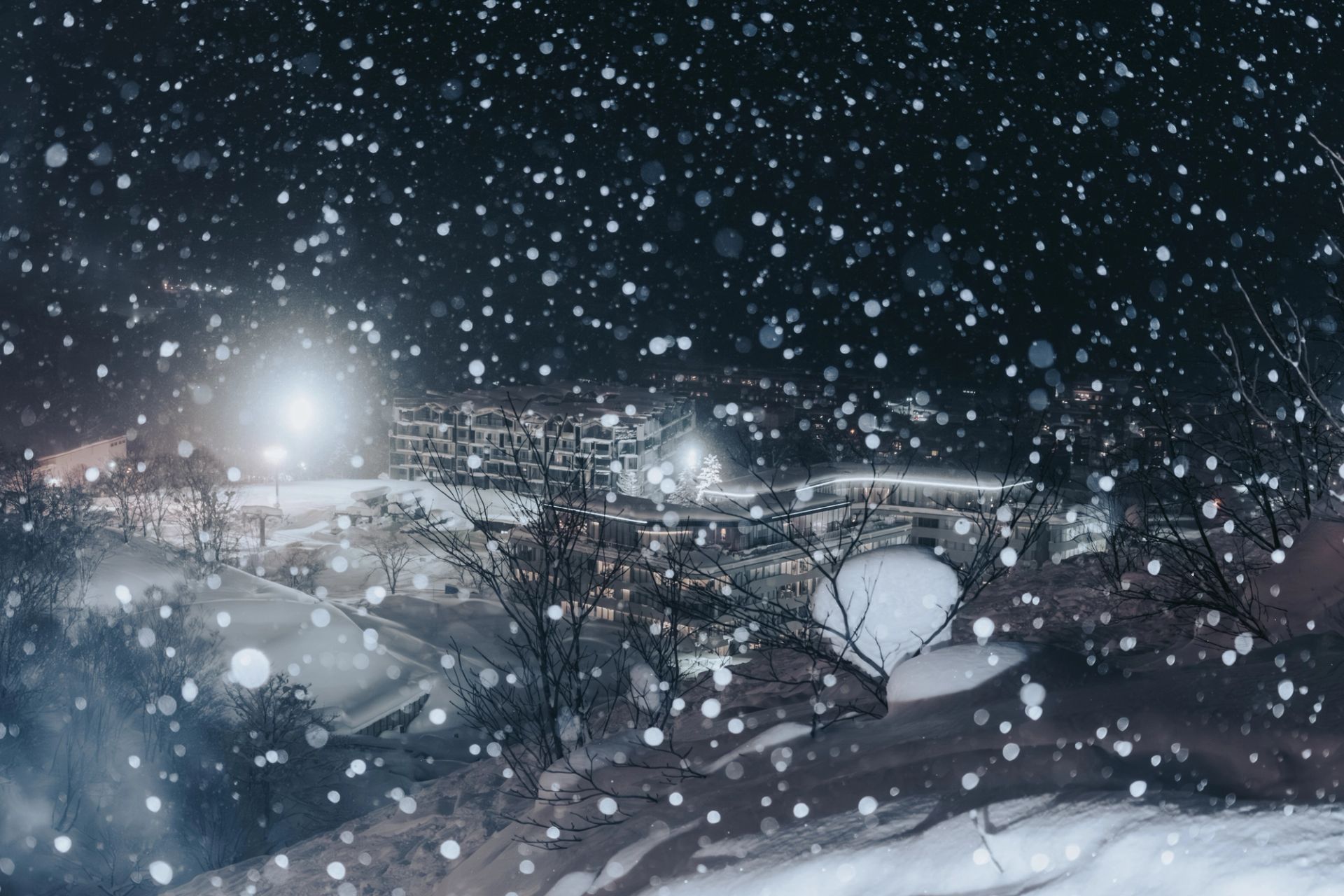 Falling Snow