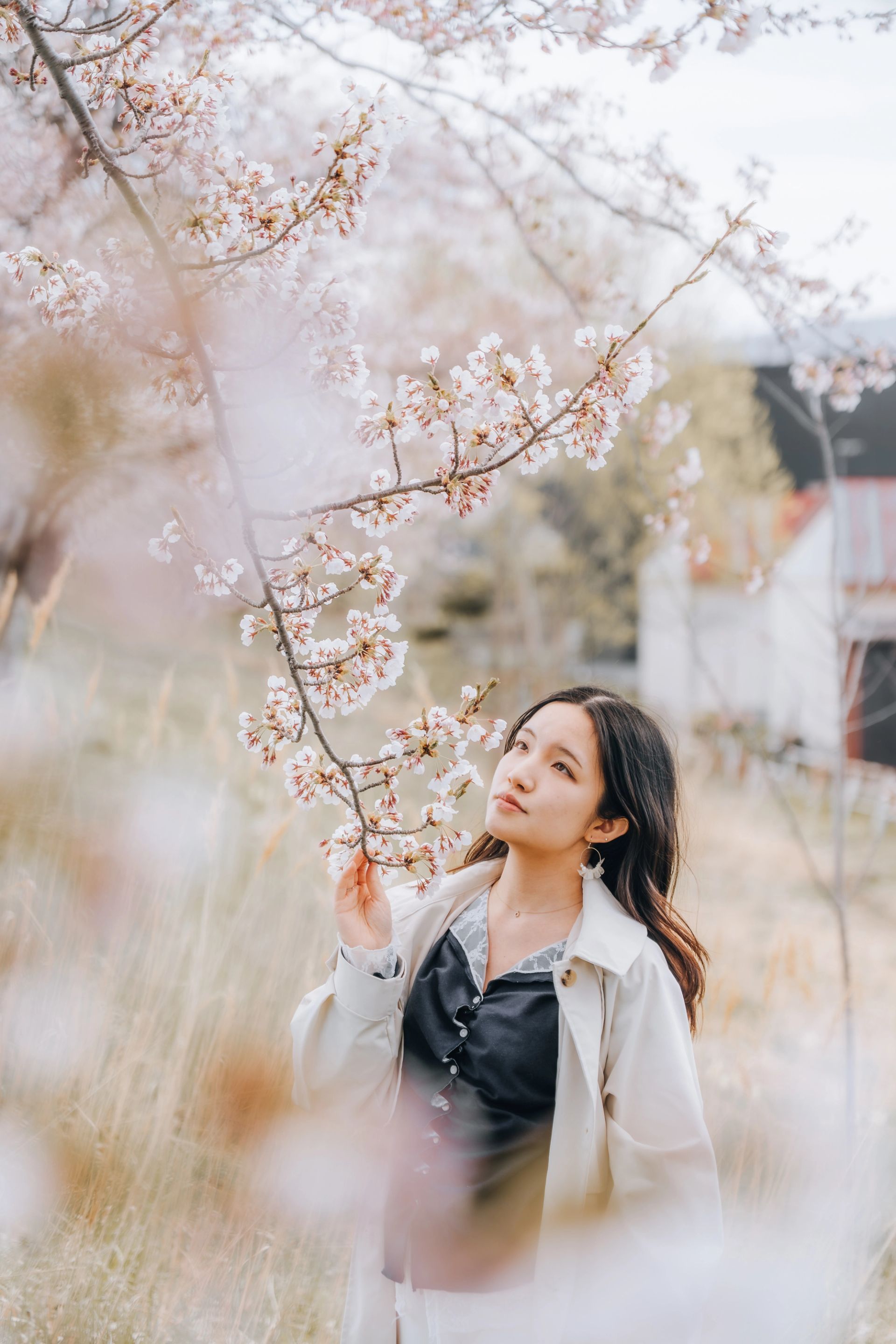 Blossom Reverie