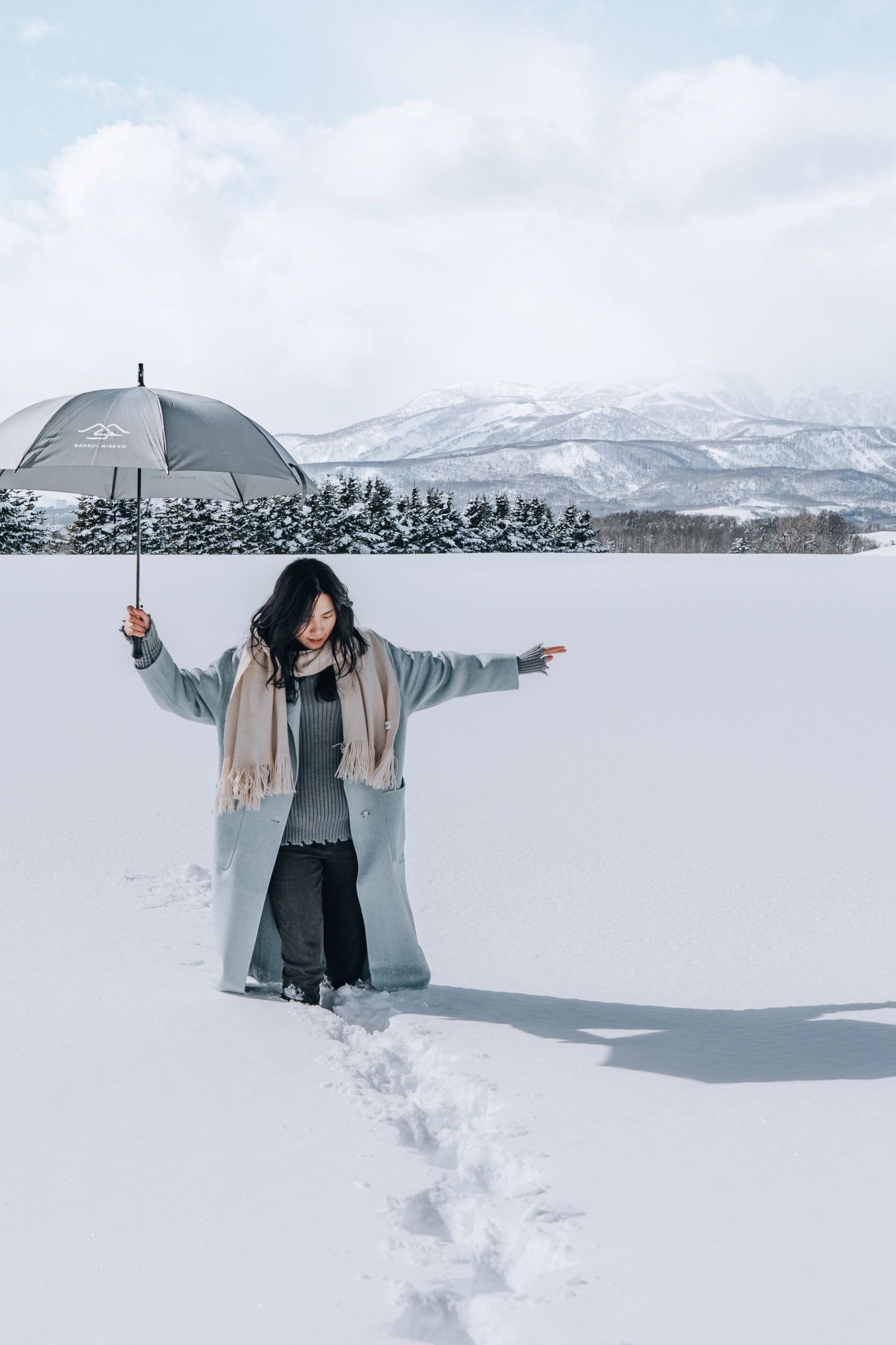 Snow Dance