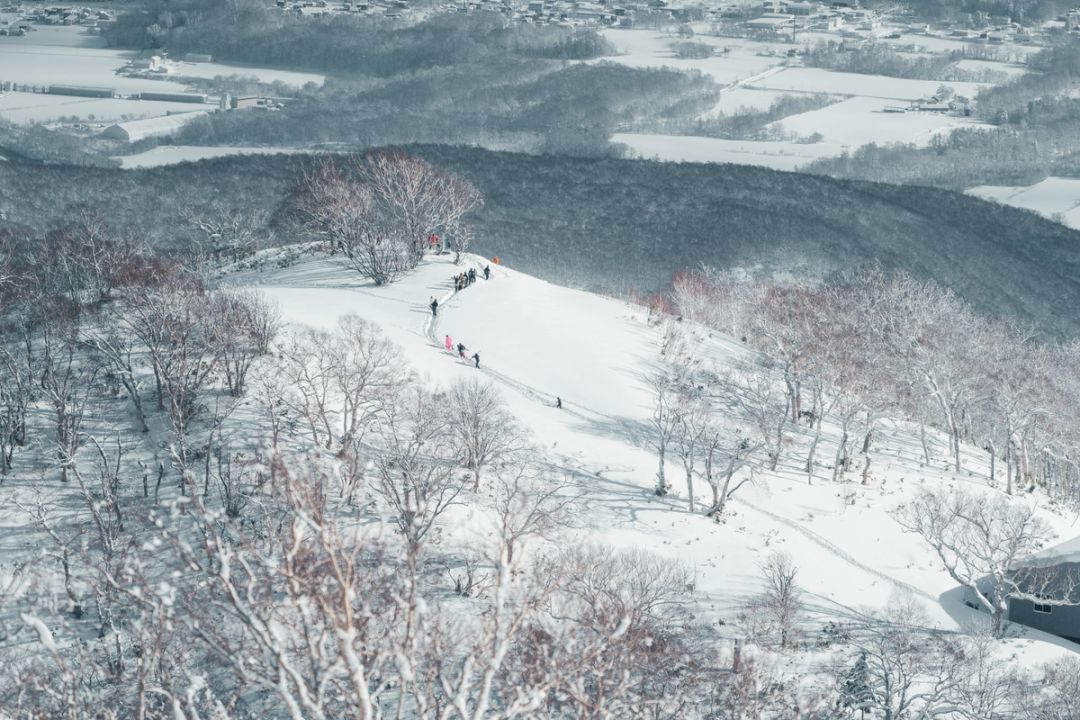 Ridge Line Descent