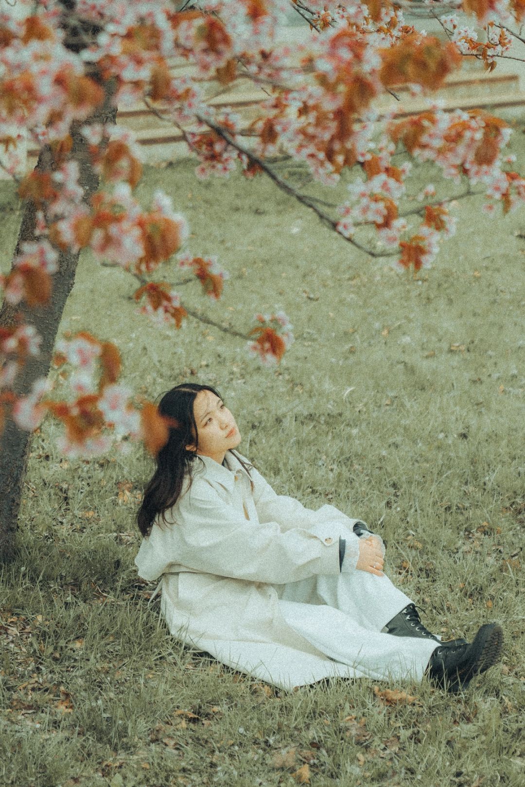 Afternoon Reverie