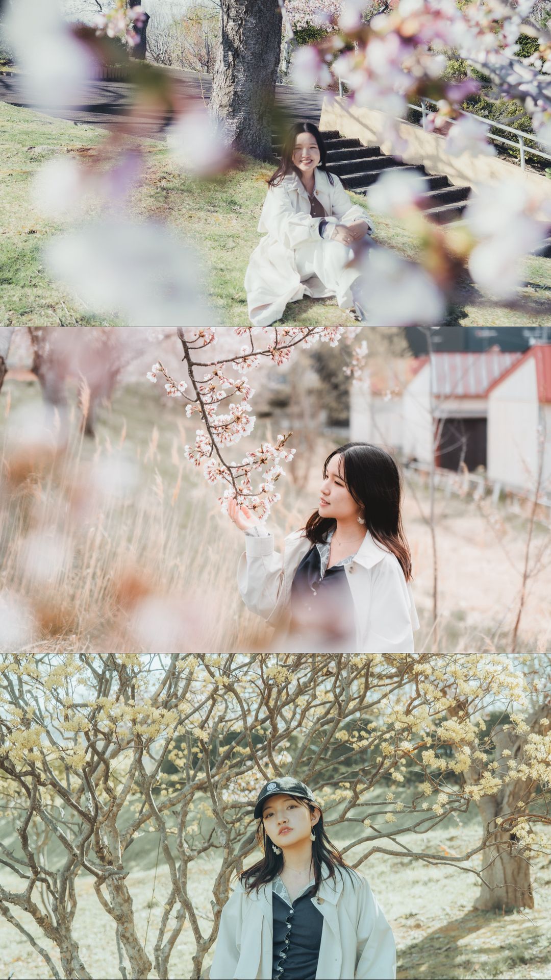 A Day in Bloom