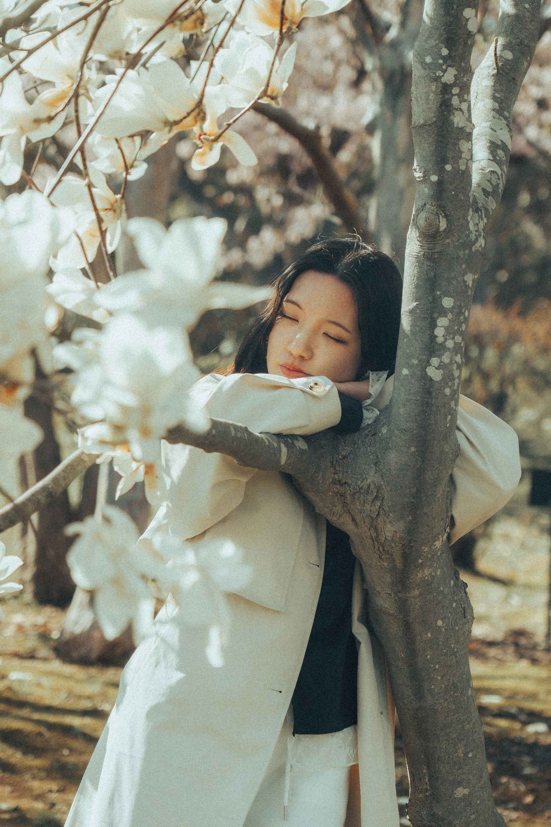 Magnolia Dream