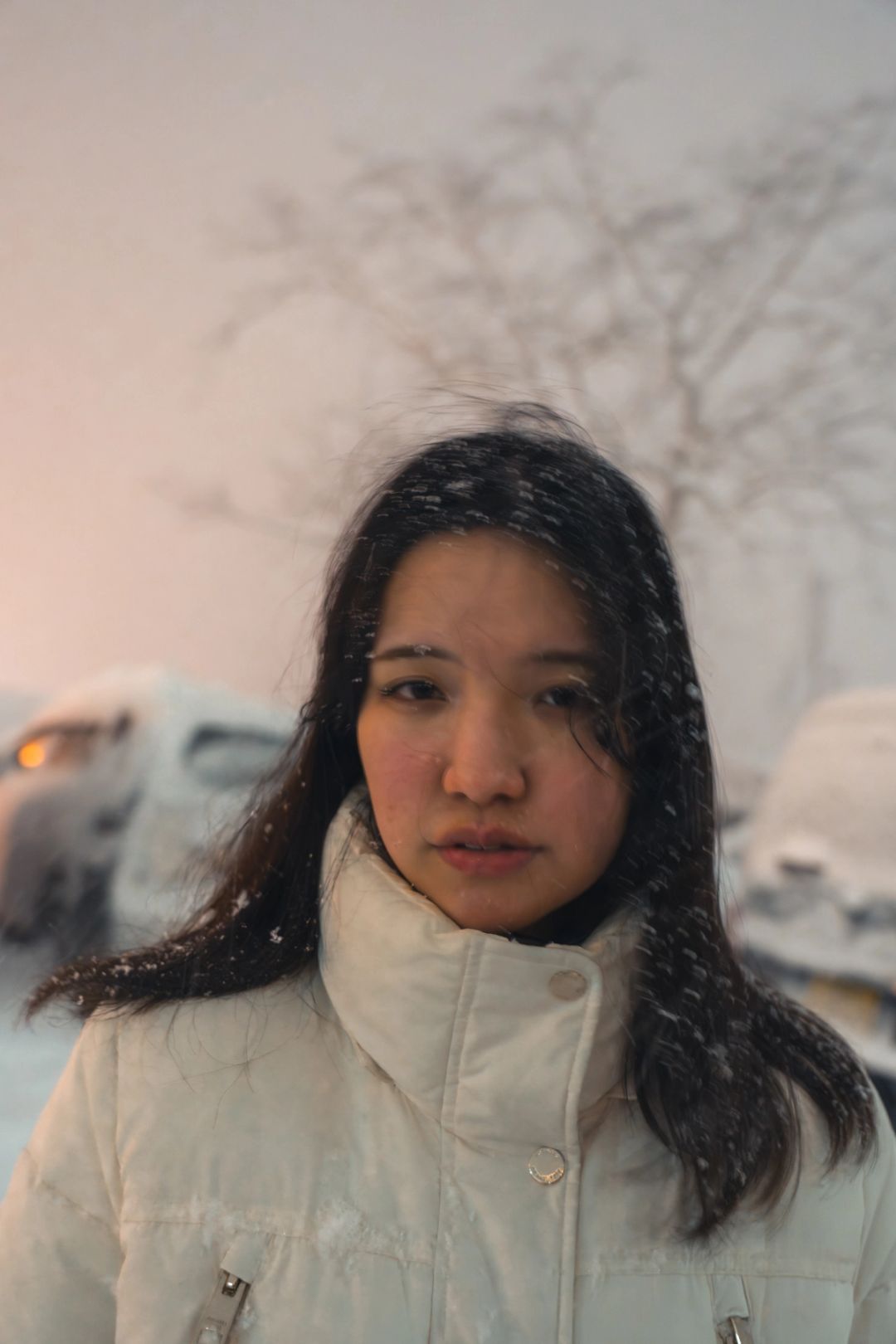 Caught in Snowfall