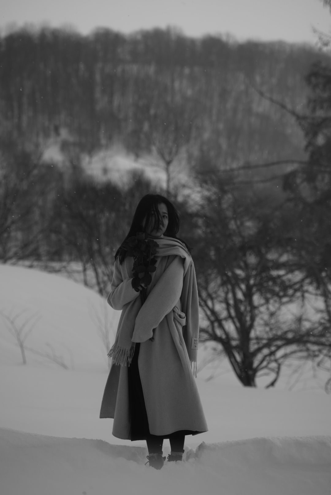 Snowfield Glance