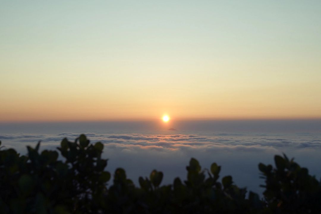 Quiet Horizon