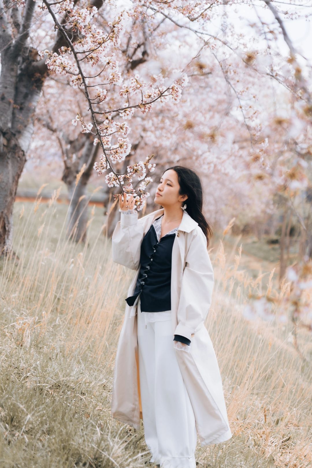 Field of Blossoms