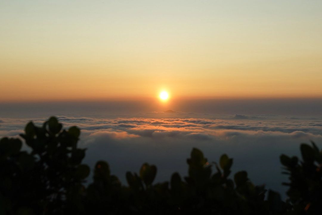 Golden Dawn