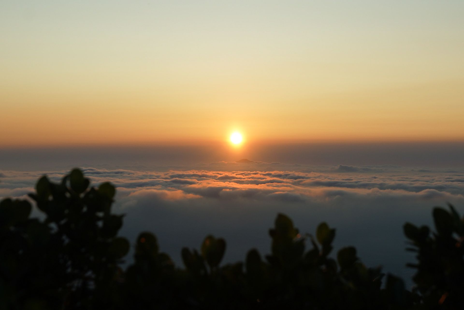 Golden Dawn