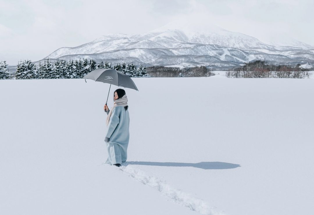 Winter Stillness