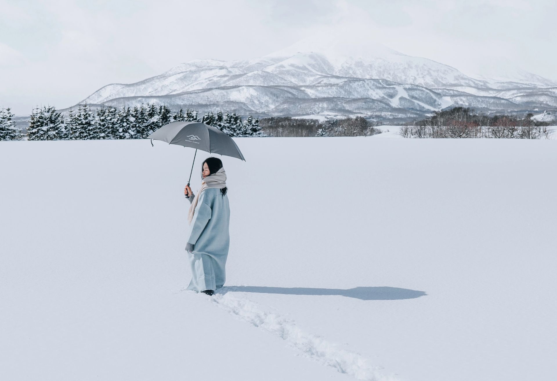 Winter Stillness