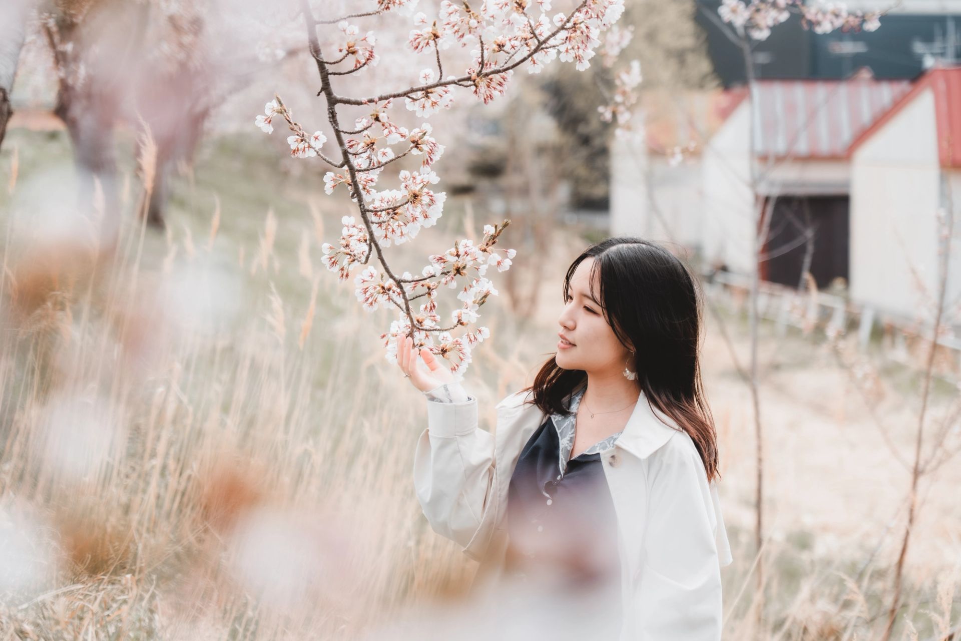 Quiet Bloom