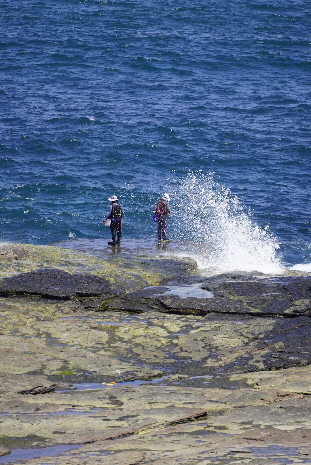 Coastal Spray