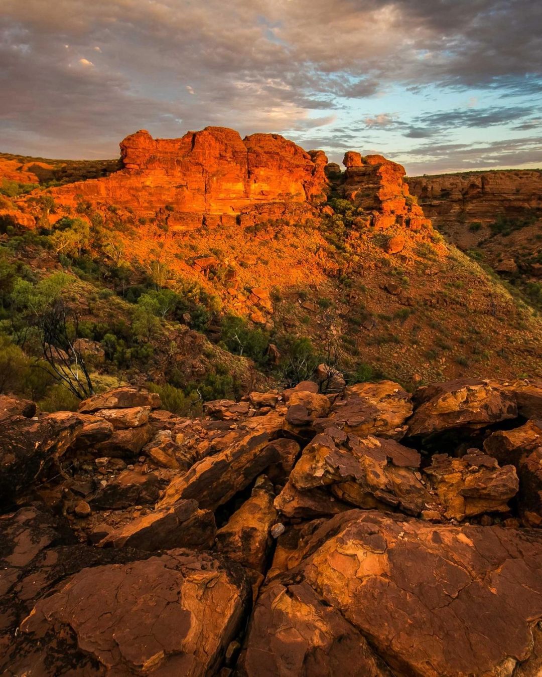 Canyon Walls
