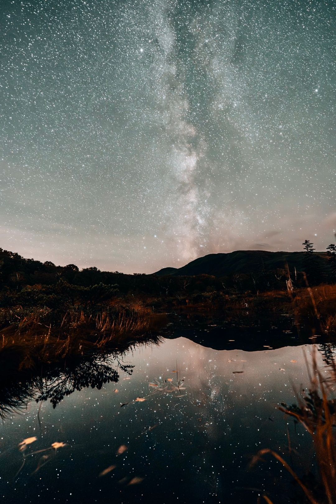 Quiet Marsh Sky