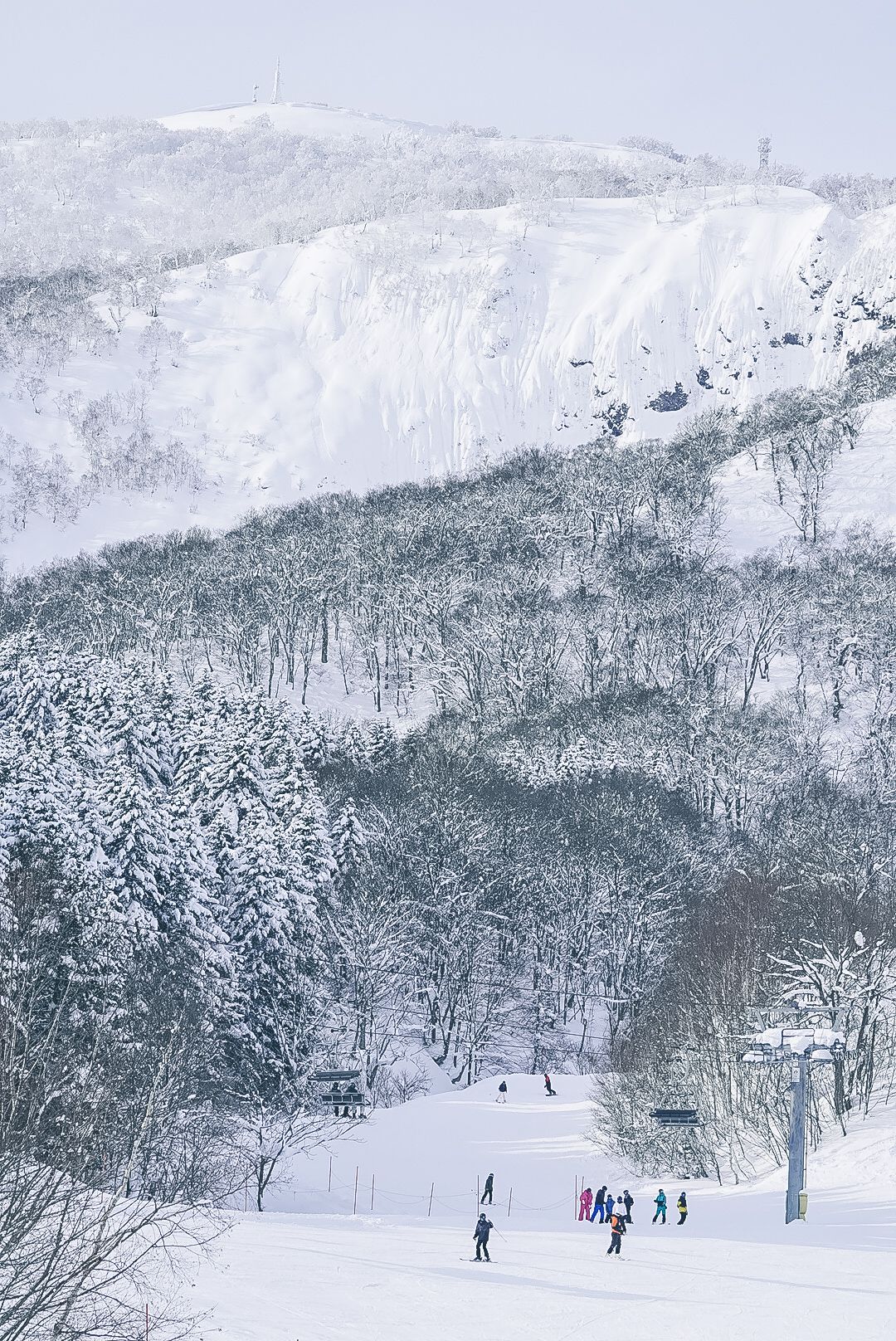 Powder Grove
