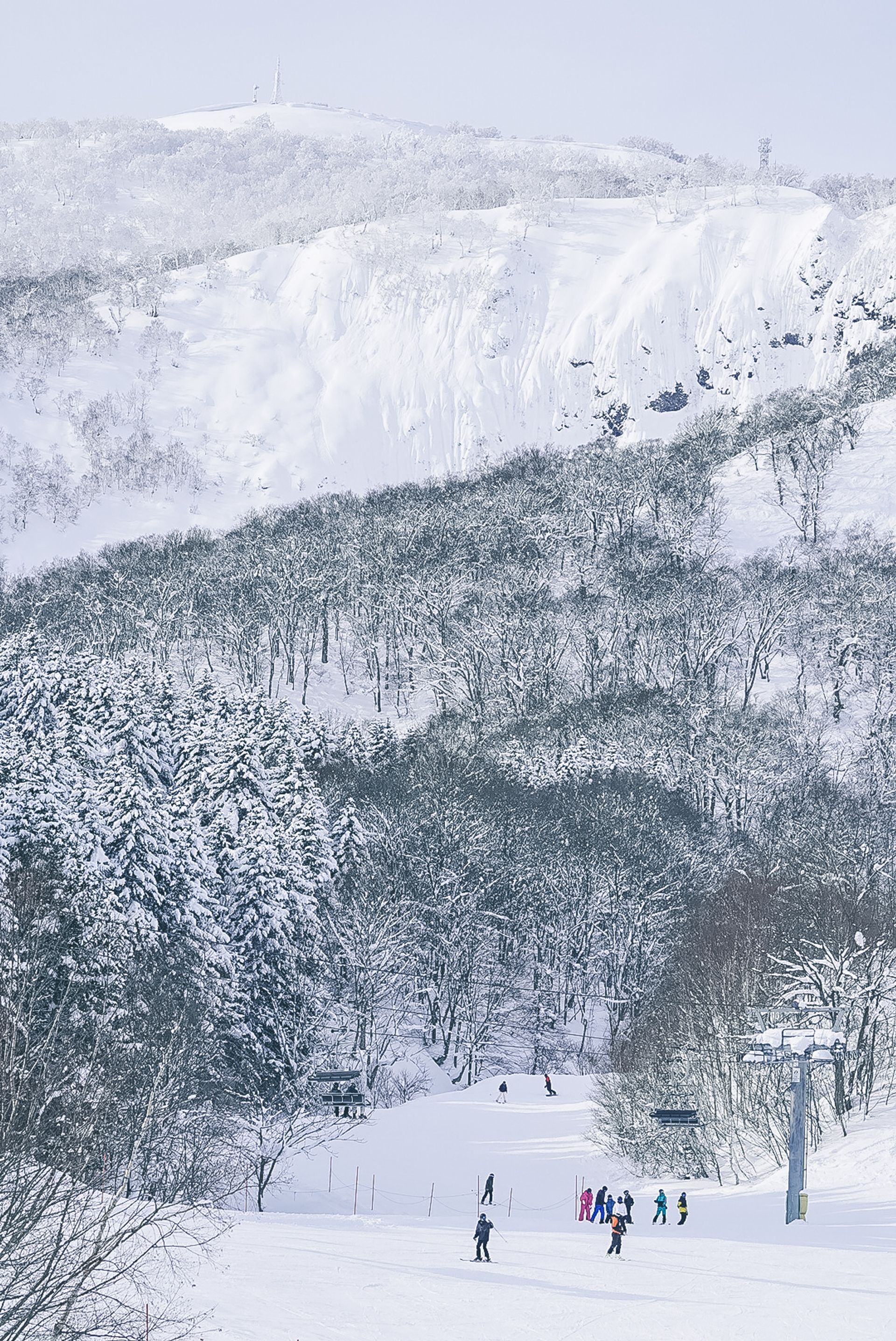 Powder Grove