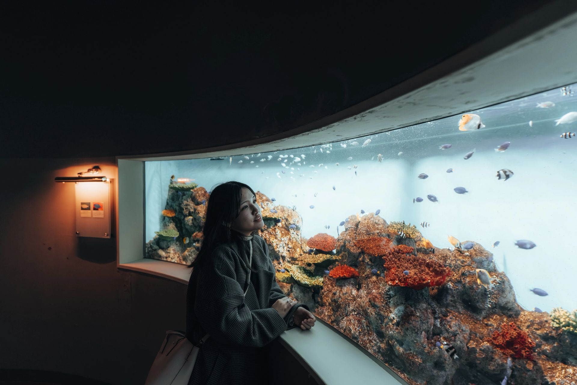 Coral Corridor