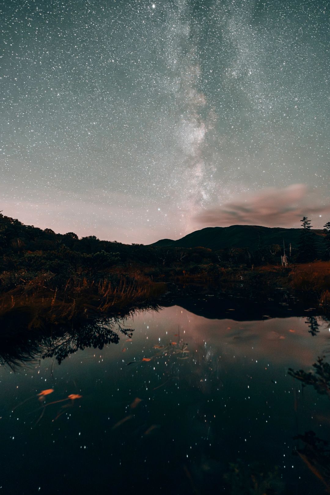 Mirrored Sky