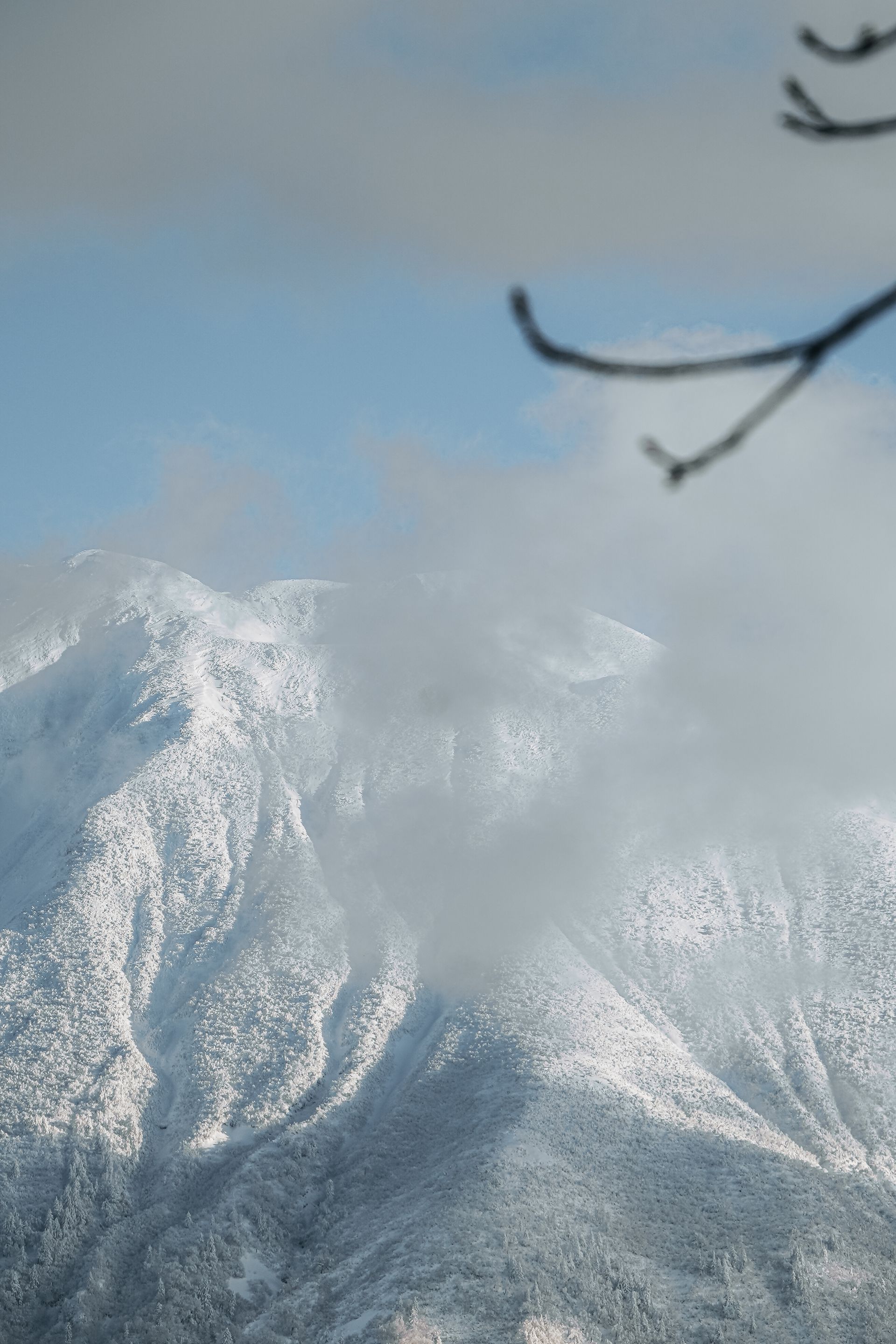 Peak in the Clouds