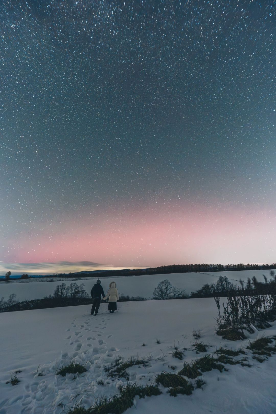 Under the Aurora