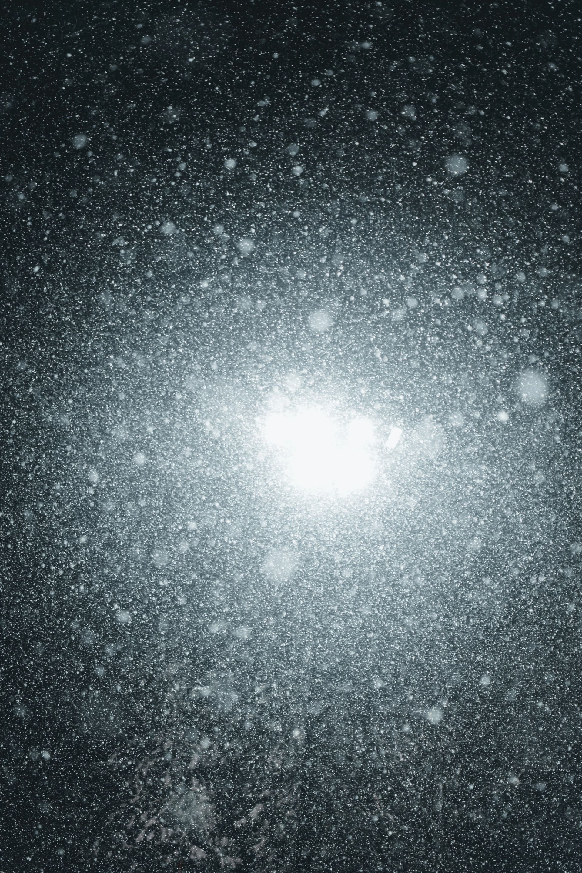 Night Snowfall