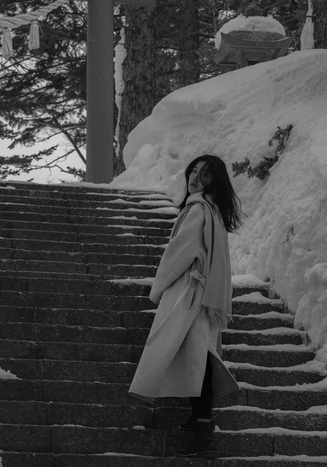 Shrine Steps