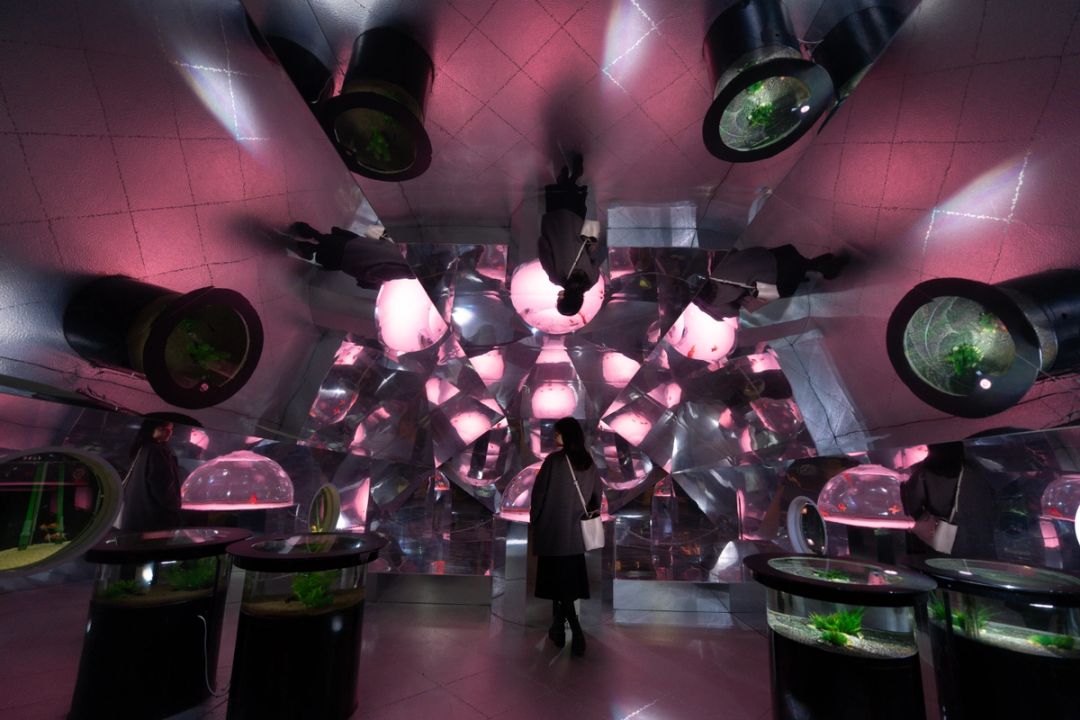Kaleidoscope Room