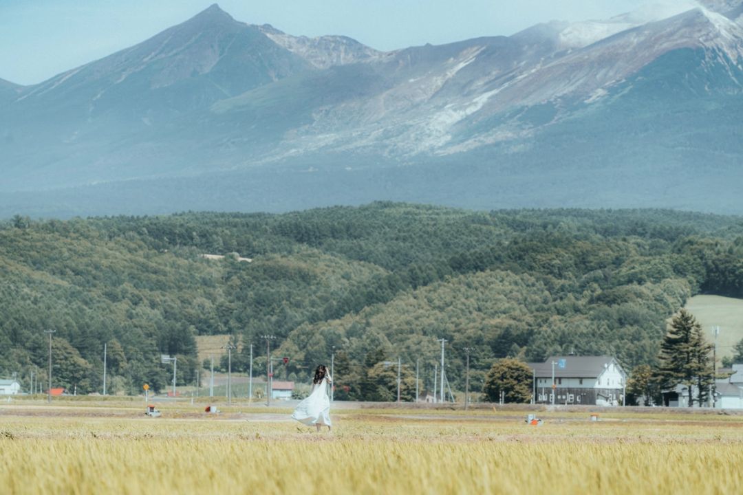 Golden Field