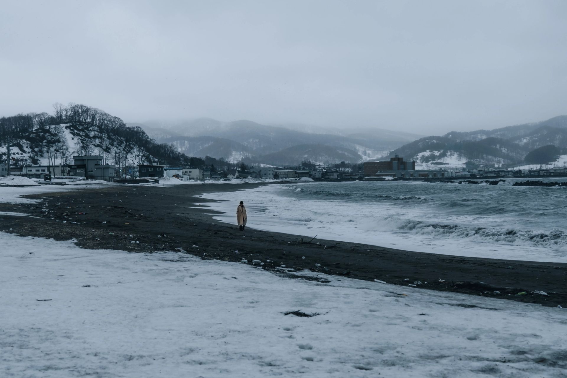 Winter Shoreline