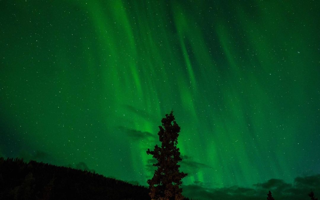 Northern Lights