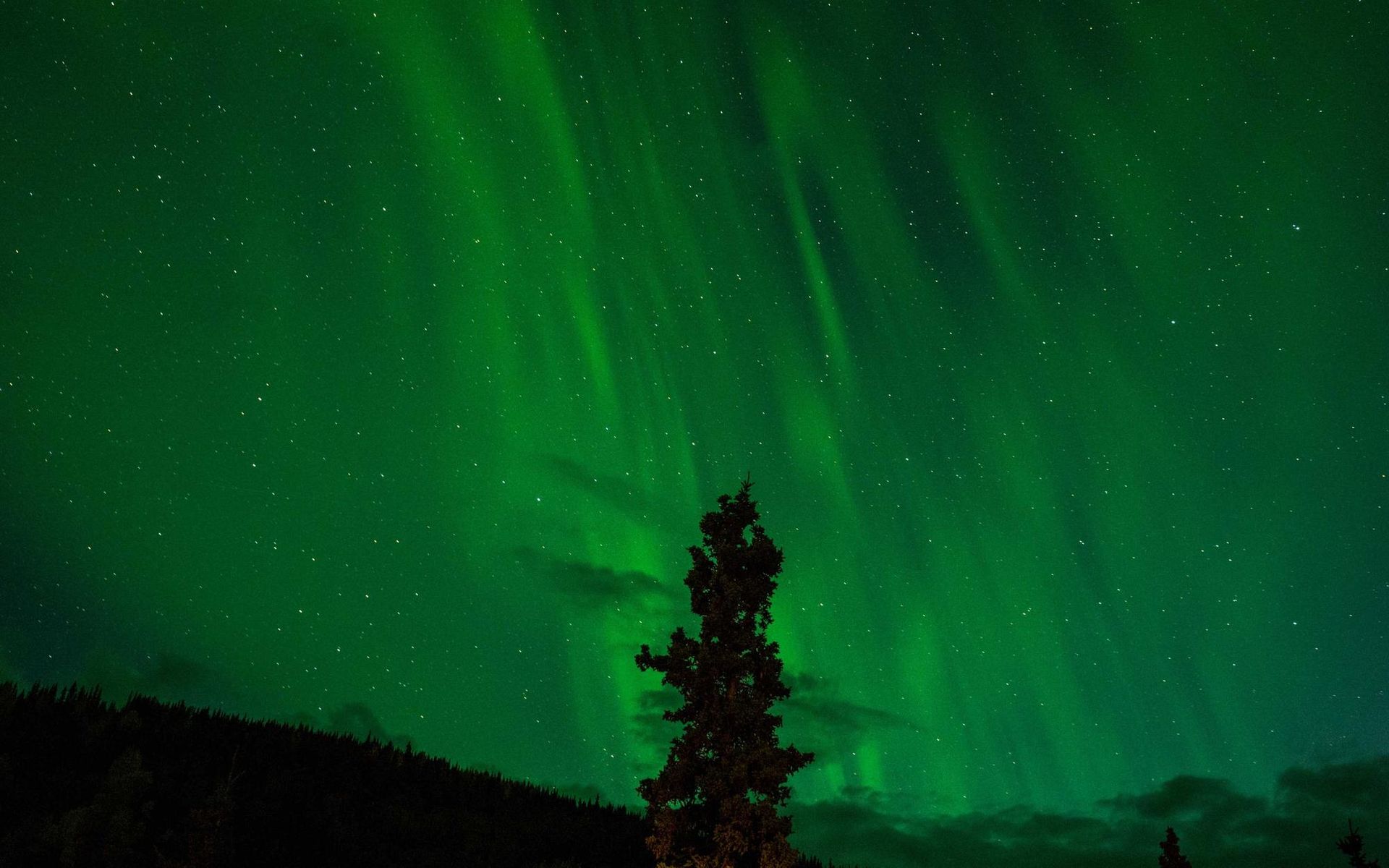 Northern Lights