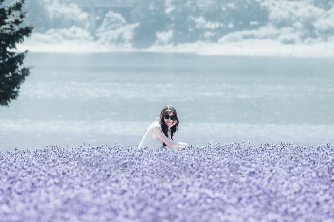 Misty Lavender